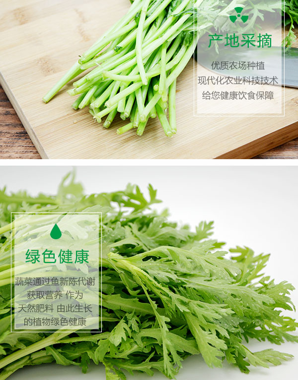 茼蒿