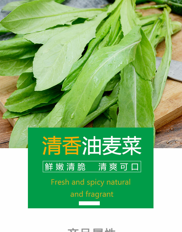 油麦菜