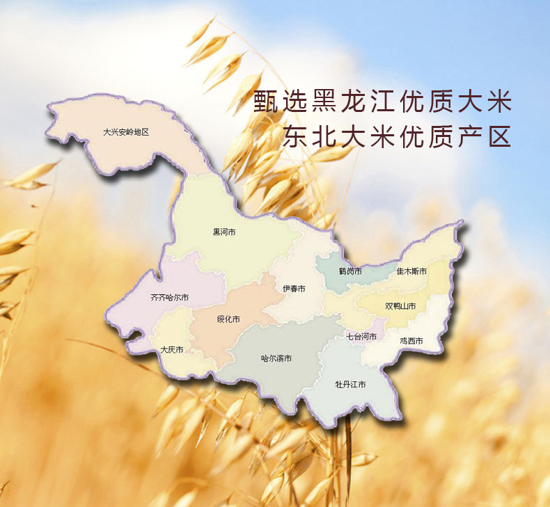 皮蛋瘦肉粥