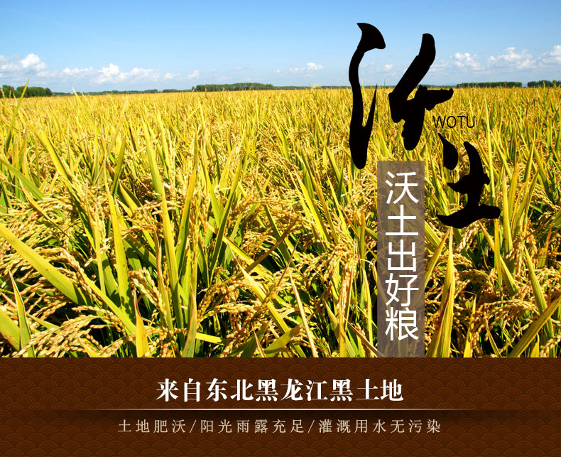 皮蛋瘦肉粥